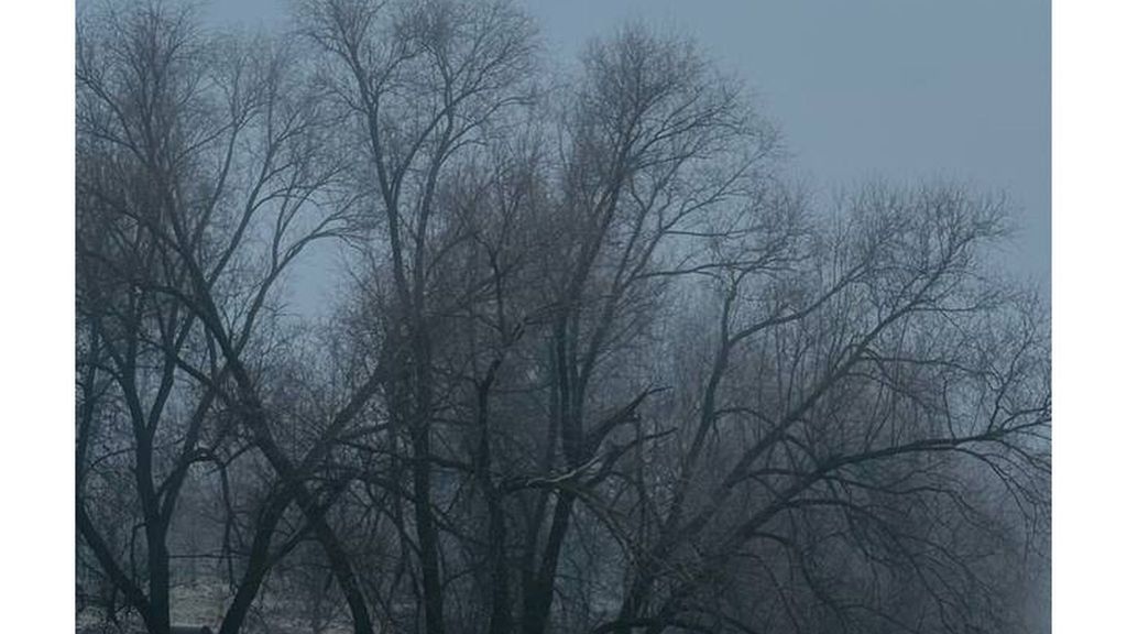 Мастер-класс Руслана Митина по мобильной фотографии