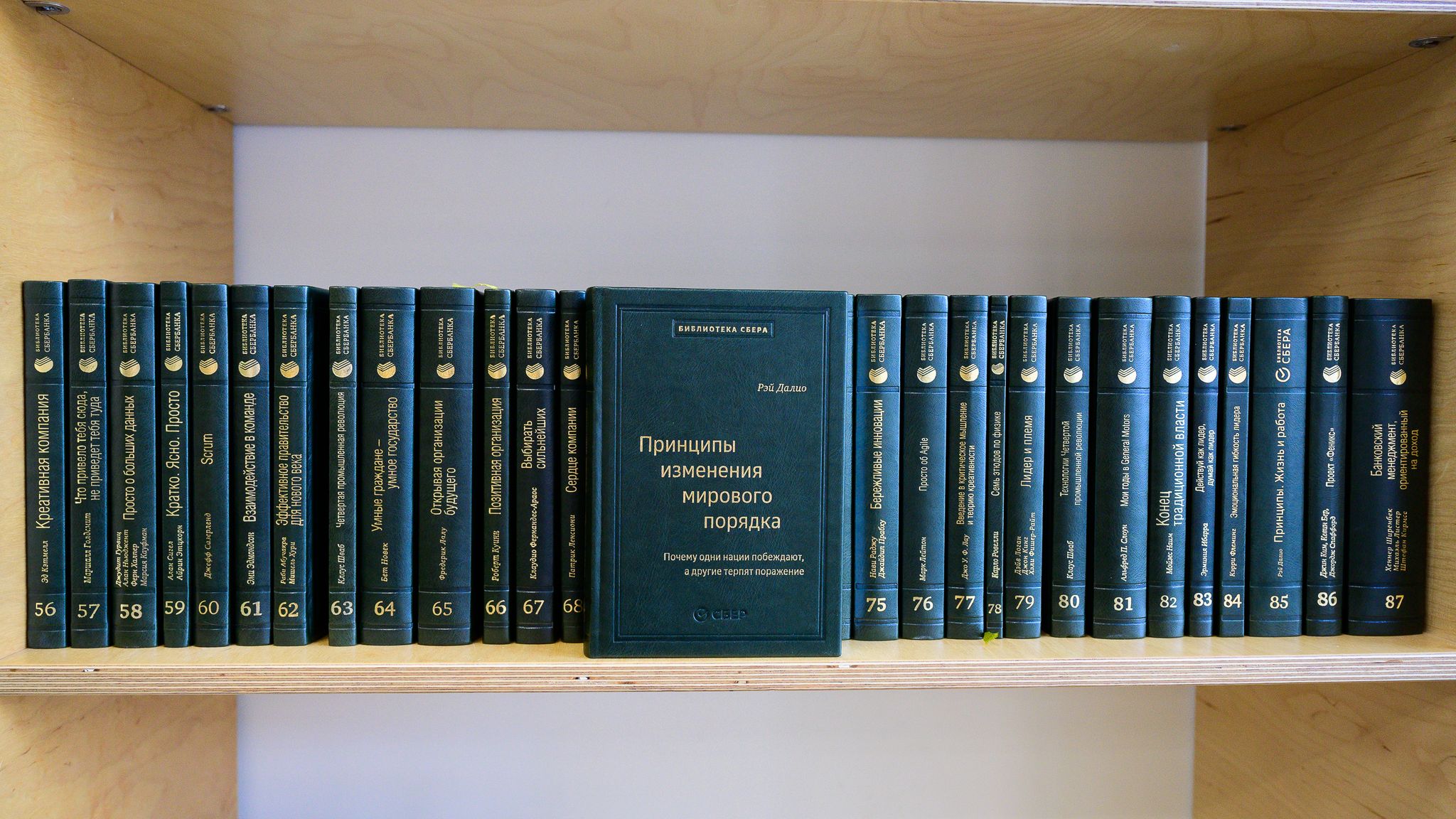 Книги библиотека сбера. Книги сбербанка библиотеки. Коллекция книг сбербанка. Коллекция книг сбербанка. Библиотека сбербанка.